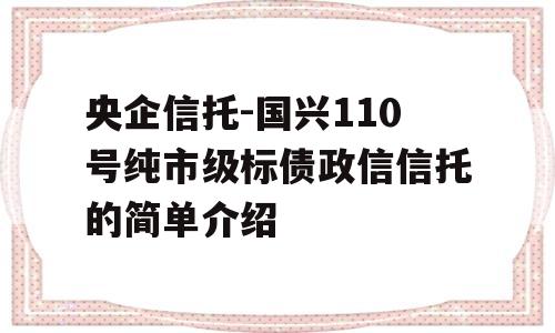 央企信托-国兴110号纯市级标债政信信托的简单介绍