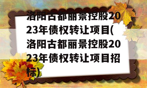 洛阳古都丽景控股2023年债权转让项目(洛阳古都丽景控股2023年债权转让项目招标)