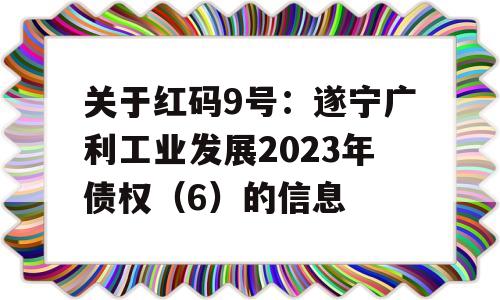 关于红码9号：遂宁广利工业发展2023年债权（6）的信息