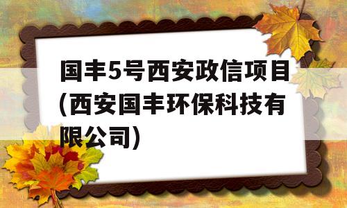 国丰5号西安政信项目(西安国丰环保科技有限公司)