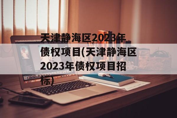 天津静海区2023年债权项目(天津静海区2023年债权项目招标)