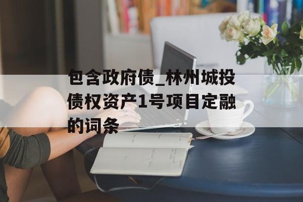 包含政府债_林州城投债权资产1号项目定融的词条