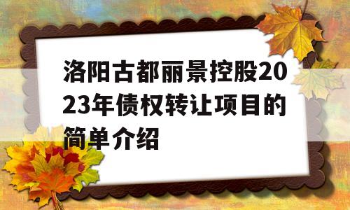 洛阳古都丽景控股2023年债权转让项目的简单介绍