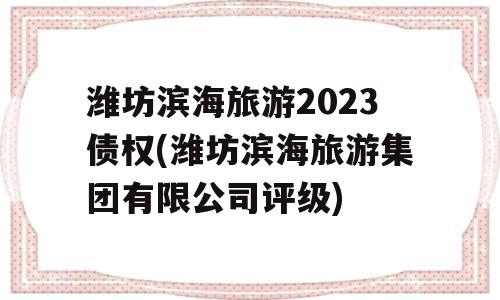 潍坊滨海旅游2023债权(潍坊滨海旅游集团有限公司评级)