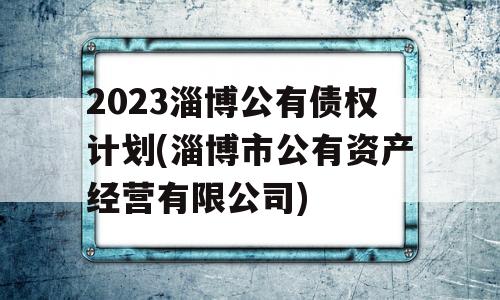 2023淄博公有债权计划(淄博市公有资产经营有限公司)