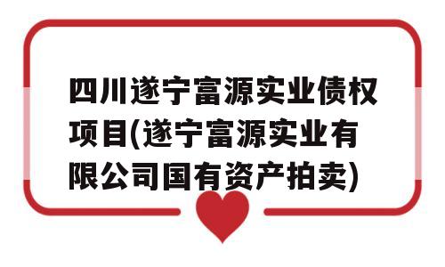 四川遂宁富源实业债权项目(遂宁富源实业有限公司国有资产拍卖)