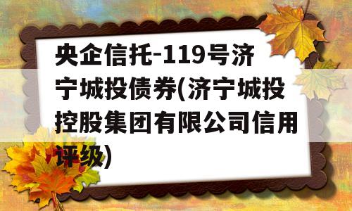 央企信托-119号济宁城投债券(济宁城投控股集团有限公司信用评级)