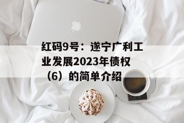 红码9号：遂宁广利工业发展2023年债权（6）的简单介绍