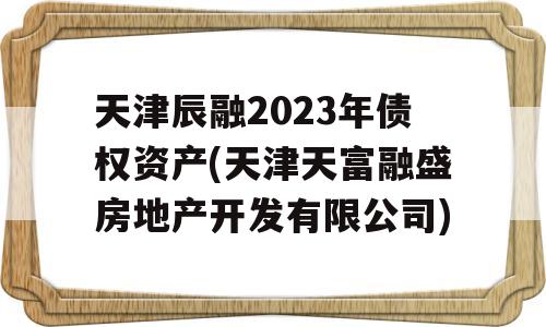 天津辰融2023年债权资产(天津天富融盛房地产开发有限公司)