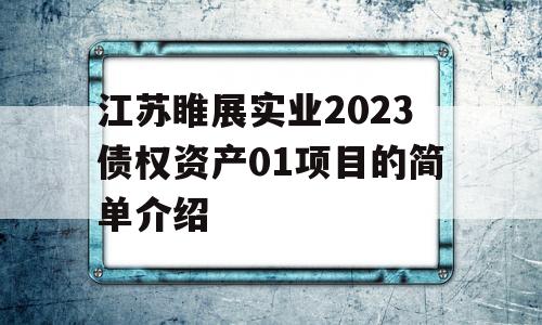 江苏睢展实业2023债权资产01项目的简单介绍