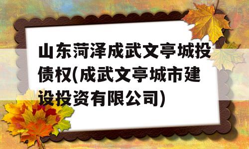 山东菏泽成武文亭城投债权(成武文亭城市建设投资有限公司)