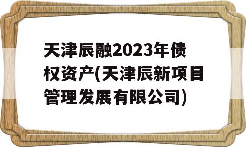 天津辰融2023年债权资产(天津辰新项目管理发展有限公司)