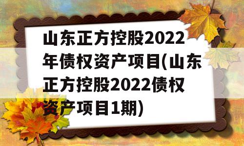 山东正方控股2022年债权资产项目(山东正方控股2022债权资产项目1期)