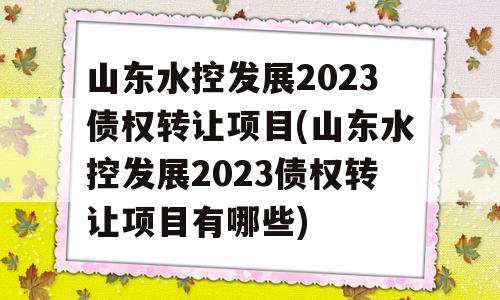 山东水控发展2023债权转让项目(山东水控发展2023债权转让项目有哪些)