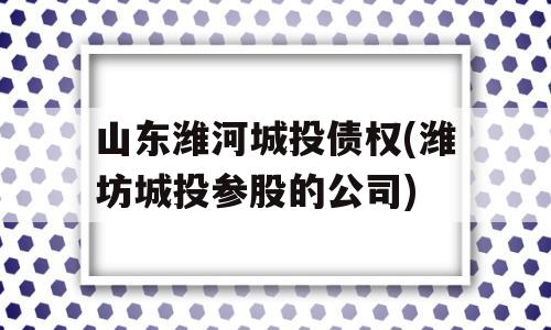 山东潍河城投债权(潍坊城投参股的公司)