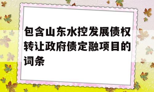 包含山东水控发展债权转让政府债定融项目的词条