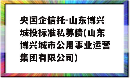 央国企信托-山东博兴城投标准私募债(山东博兴城市公用事业运营集团有限公司)