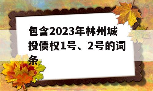 包含2023年林州城投债权1号、2号的词条