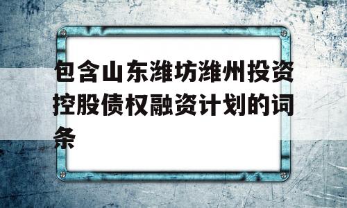 包含山东潍坊潍州投资控股债权融资计划的词条