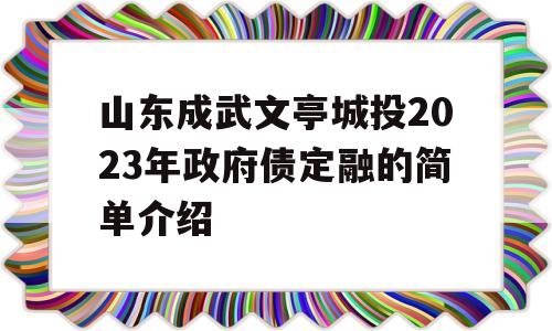 山东成武文亭城投2023年政府债定融的简单介绍