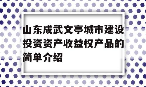 山东成武文亭城市建设投资资产收益权产品的简单介绍