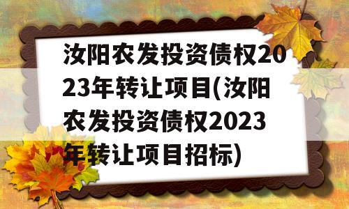 汝阳农发投资债权2023年转让项目(汝阳农发投资债权2023年转让项目招标)