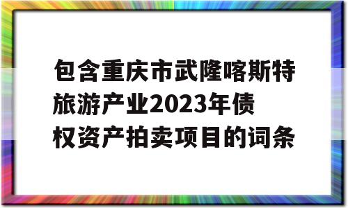 包含重庆市武隆喀斯特旅游产业2023年债权资产拍卖项目的词条