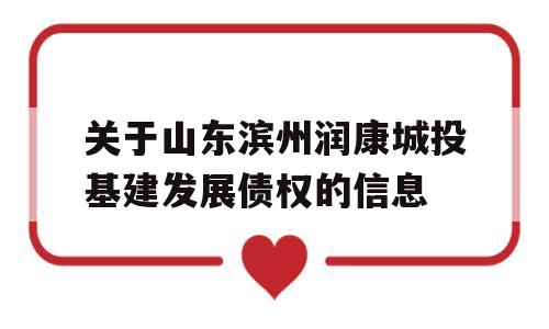 关于山东滨州润康城投基建发展债权的信息