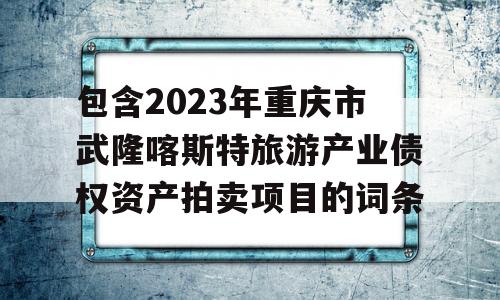 包含2023年重庆市武隆喀斯特旅游产业债权资产拍卖项目的词条