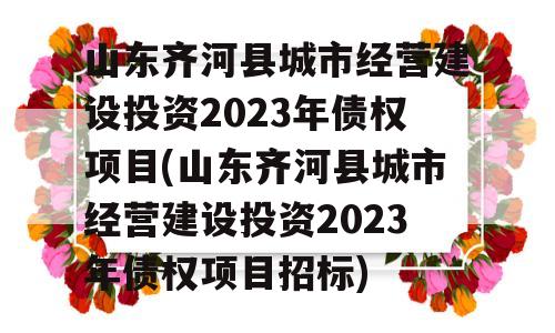 山东齐河县城市经营建设投资2023年债权项目(山东齐河县城市经营建设投资2023年债权项目招标)