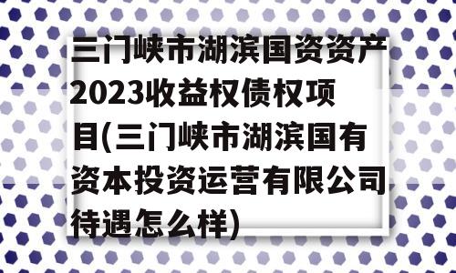 三门峡市湖滨国资资产2023收益权债权项目(三门峡市湖滨国有资本投资运营有限公司待遇怎么样)