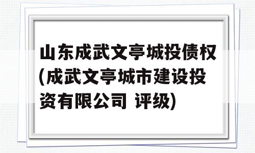 山东成武文亭城投债权(成武文亭城市建设投资有限公司 评级)