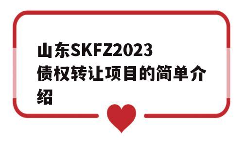 山东SKFZ2023债权转让项目的简单介绍