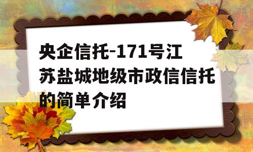 央企信托-171号江苏盐城地级市政信信托的简单介绍