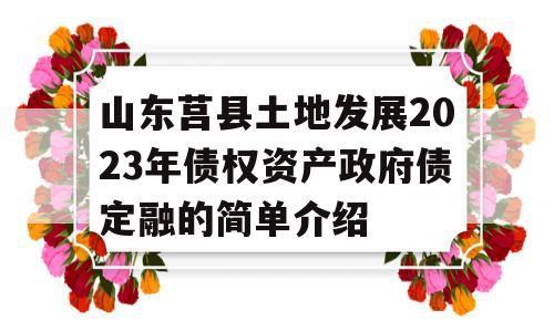 山东莒县土地发展2023年债权资产政府债定融的简单介绍