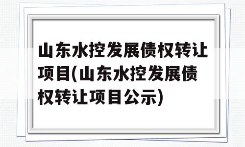 山东水控发展债权转让项目(山东水控发展债权转让项目公示)