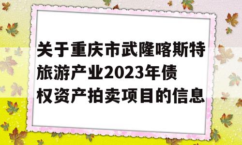 关于重庆市武隆喀斯特旅游产业2023年债权资产拍卖项目的信息