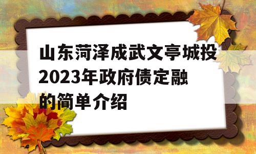 山东菏泽成武文亭城投2023年政府债定融的简单介绍