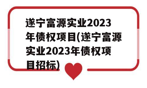 遂宁富源实业2023年债权项目(遂宁富源实业2023年债权项目招标)