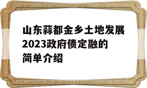 山东蒜都金乡土地发展2023政府债定融的简单介绍