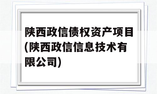 陕西政信债权资产项目(陕西政信信息技术有限公司)