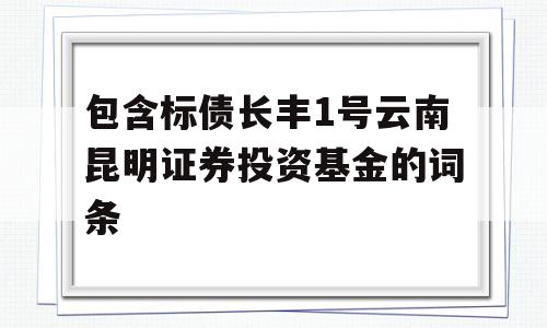 包含标债长丰1号云南昆明证券投资基金的词条