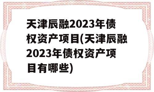 天津辰融2023年债权资产项目(天津辰融2023年债权资产项目有哪些)