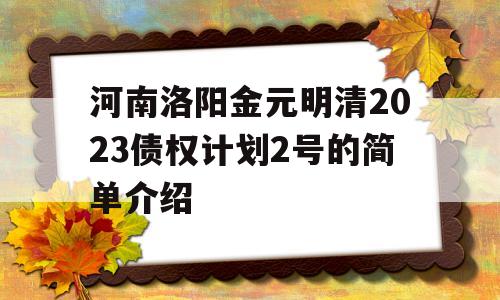 河南洛阳金元明清2023债权计划2号的简单介绍