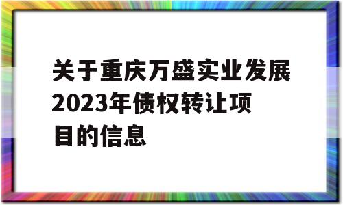 关于重庆万盛实业发展2023年债权转让项目的信息