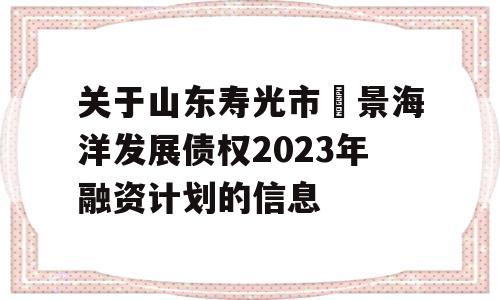 关于山东寿光市昇景海洋发展债权2023年融资计划的信息