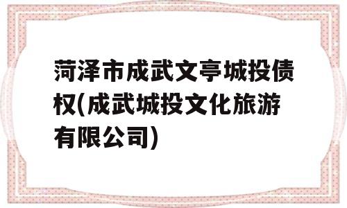 菏泽市成武文亭城投债权(成武城投文化旅游有限公司)