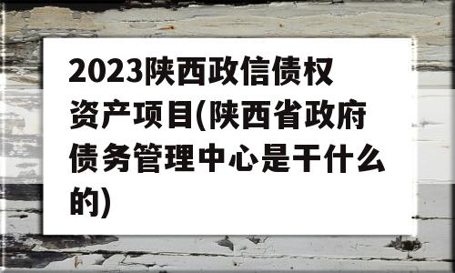 2023陕西政信债权资产项目(陕西省政府债务管理中心是干什么的)