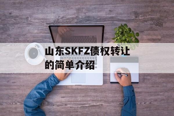 山东SKFZ债权转让的简单介绍