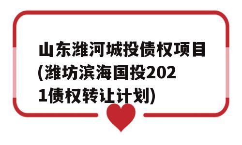 山东潍河城投债权项目(潍坊滨海国投2021债权转让计划)